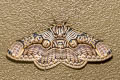 Hearsey's Owl Moth Brahmaea hearseyi