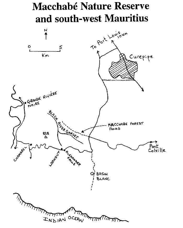 Macchabe map