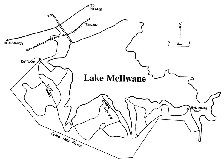 Lake McIlwane
