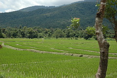 Huay Tueng Tao view