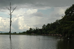 Huay Tueng Tao view