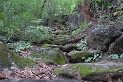 Prehistoric Nature Trail