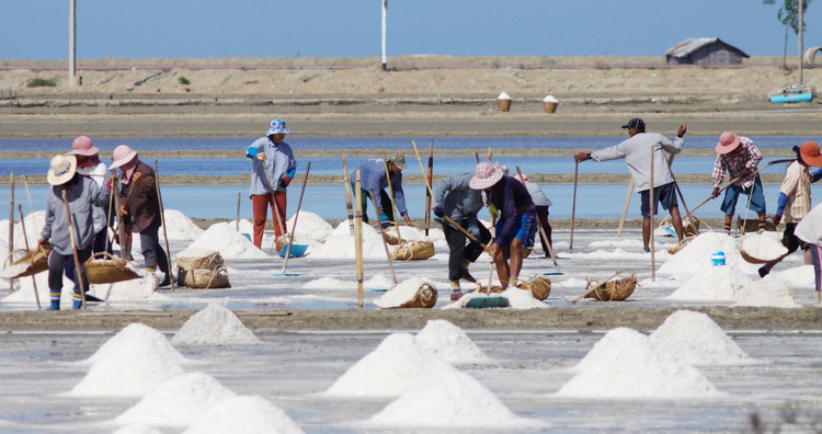 Salt workers