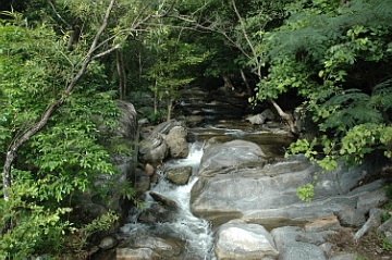 Sang Lan NP Nature Trail