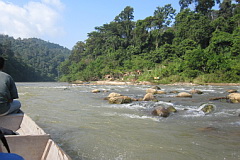 Taman Negara canopy river trip