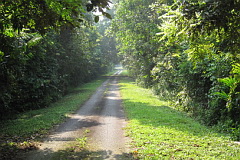 Merapoh entrance road