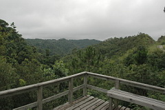 Viewing platform