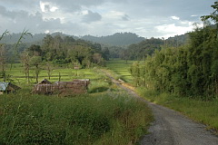 Doi Lang road