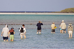 Wading across the Blue Lagoon