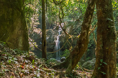 Sapan Waterfall