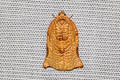 Archips micaceana