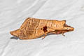 Metanastria capucina