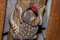 Common Tokay Gecko Gekko gecko