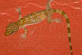 Thong Pha Phum Bent-toed Gecko Cyrtodactylus thongphaphumensis