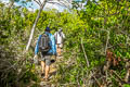 Henderosn walk across island