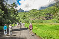 Tahiti interior valley