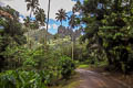 Nuku Hiva scenery