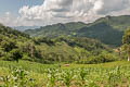 Chiang Dao