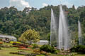 Queen Sirikit Botanical Garden